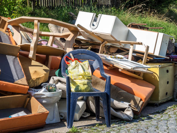 Best Electronics Removal Services  in Lesslie, SC