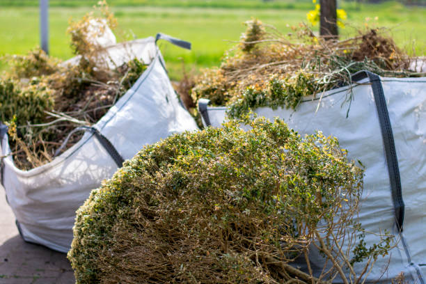 Best Residential Junk Removal  in Lesslie, SC
